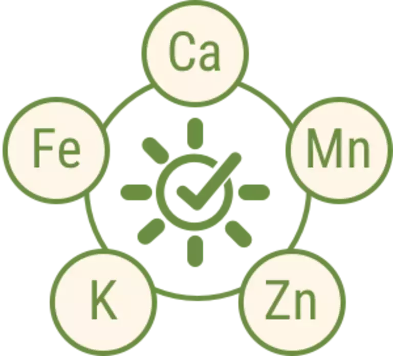 VITAMINS & MINERALS