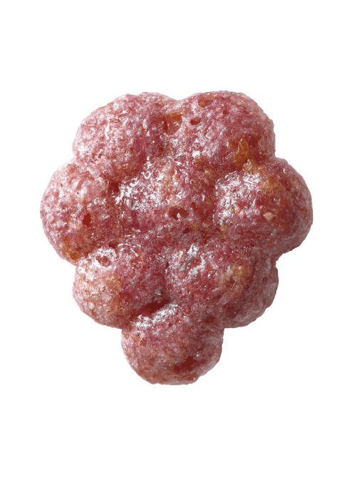 231201_CPW_TRIX_Cereal_01_GreenRed 57.png