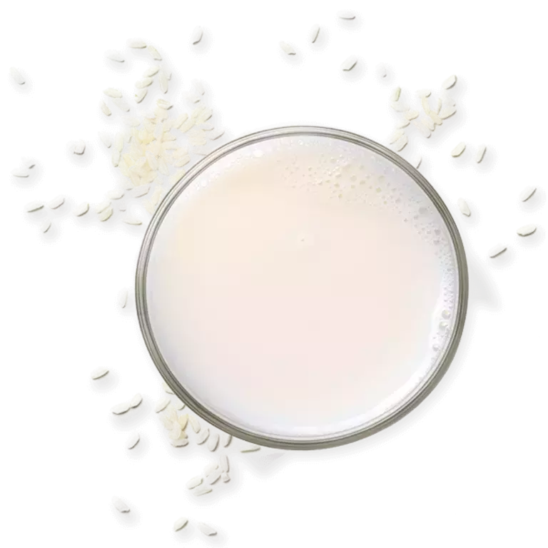 RICE MILK
