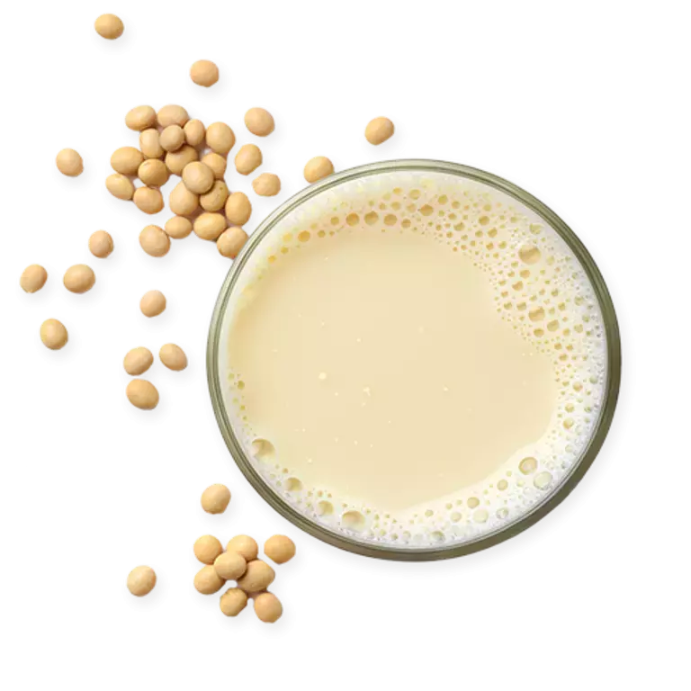 SOY MILK
