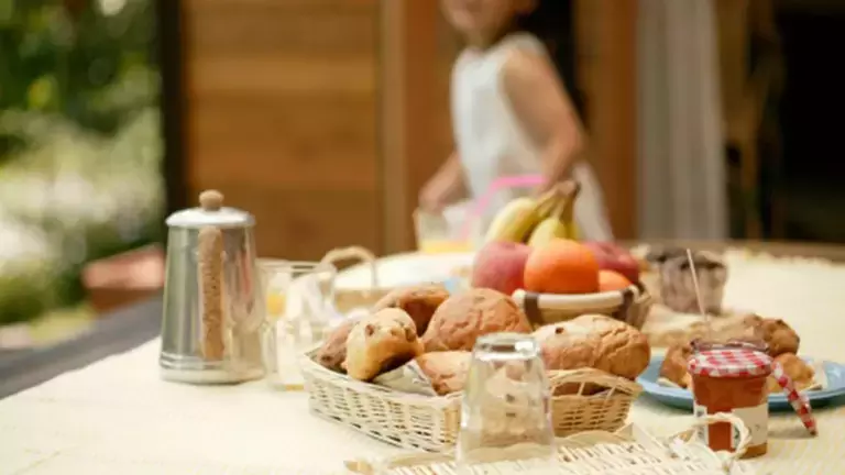 article_breakfast_survival_guide_2048x1152_2.jpg.png