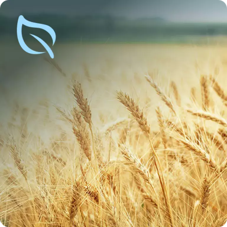 Better Planet - Our promises