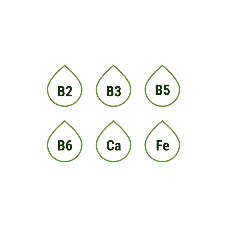 Pack 1@3x.png