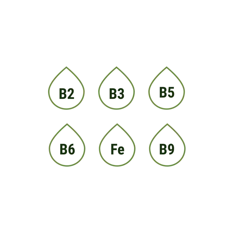 Pack 7@3x.png