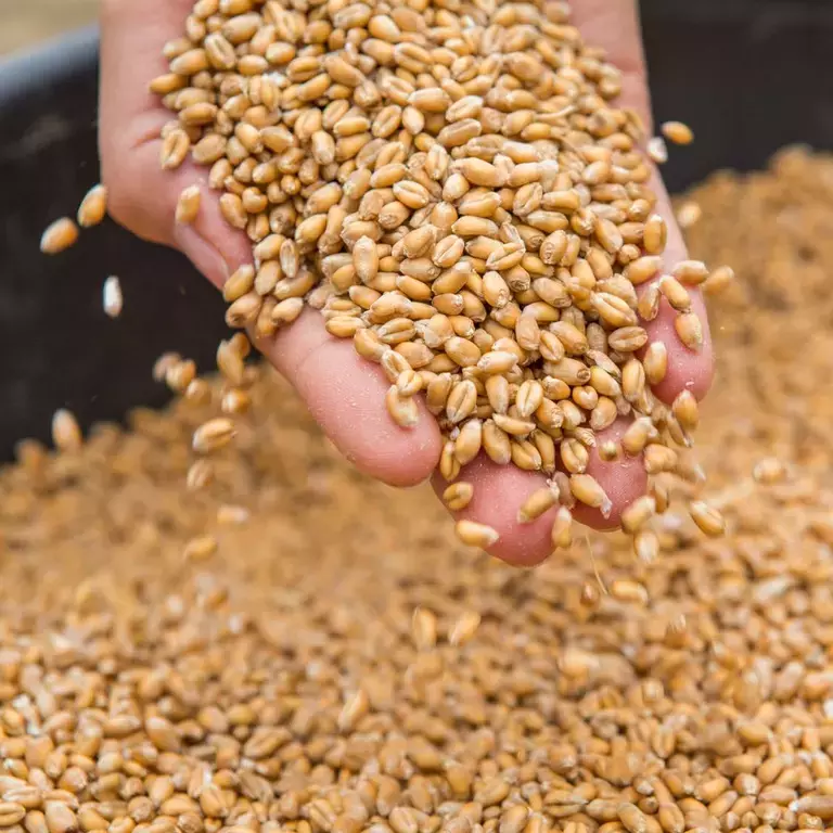 Mejores alimentos - Nuestras promesas