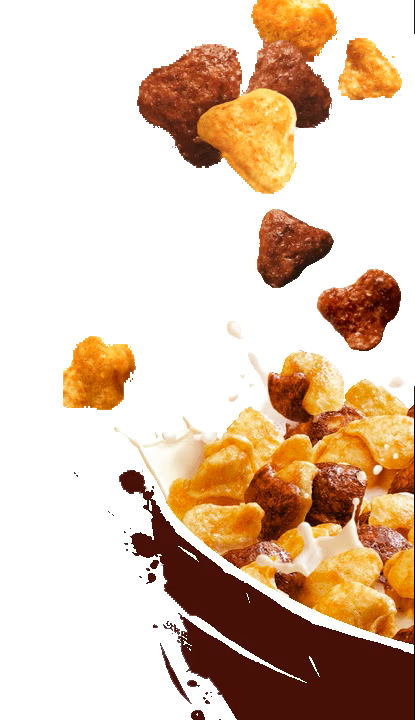 lion_bowl