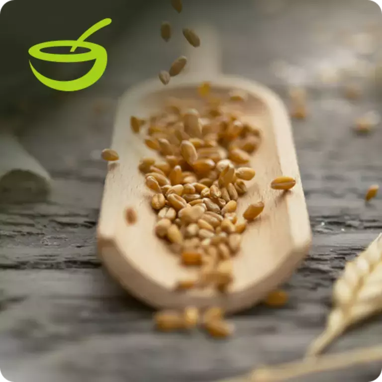 We promise to continually improve the nutritional value of our food