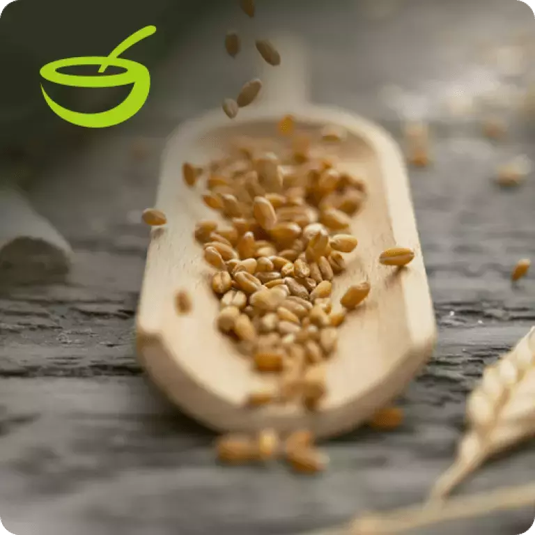 Wir wollen einen Beitrag zu einer gesünderen Ernährung leisten, indem wir kontinuierlich daran arbeiten, unsere Rezepturen zu optimieren.