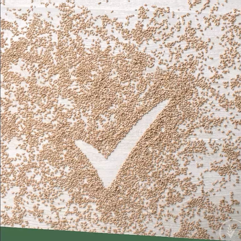 wheat.png
