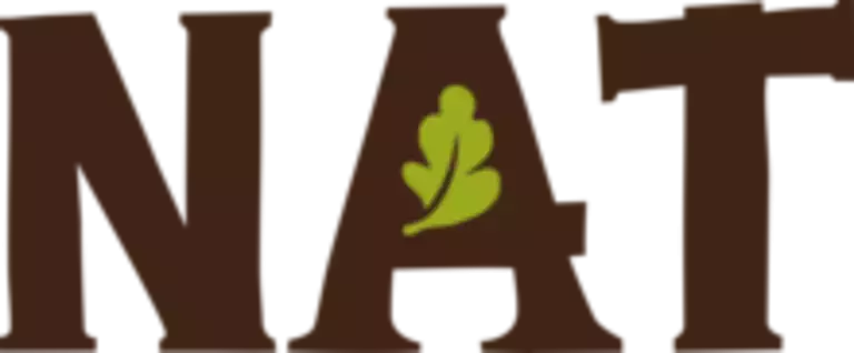 Objet dynamique vectoriel.png