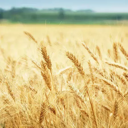 NUESTRAS PROMESAS - UN MEJOR PLANETA