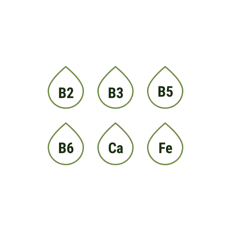 Pack 1