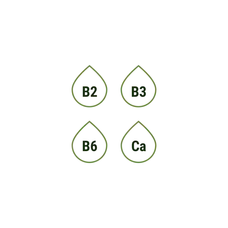Pack 3
