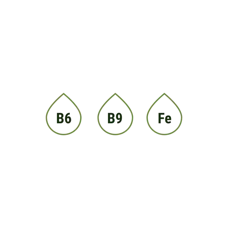 Pack 6