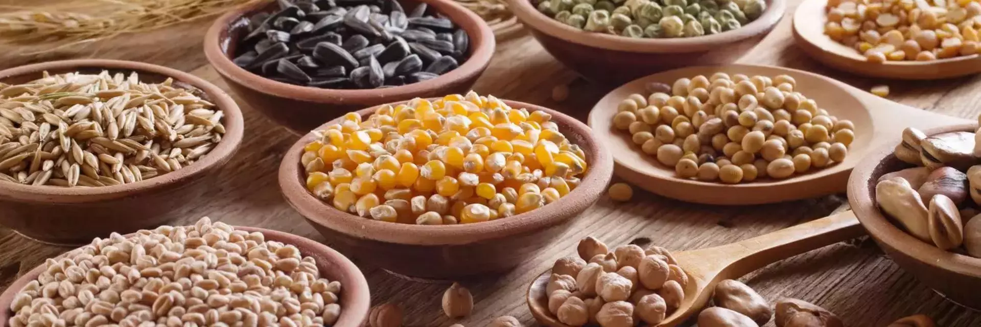 ¿Cuánta fibra dietética necesitamos realmente?