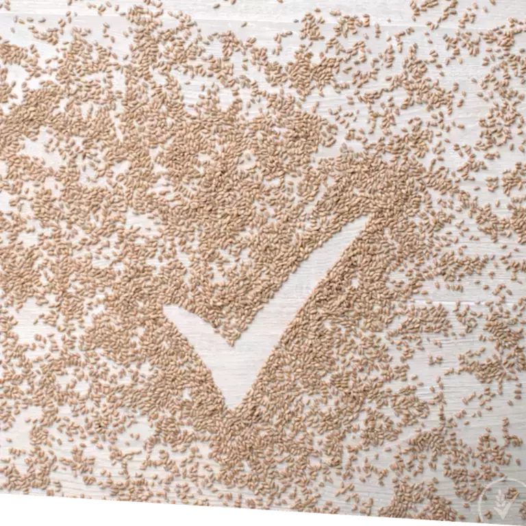 BENEFITS OF whole grain - Nutritious