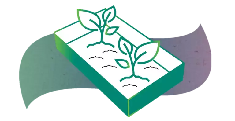 Image 3.png