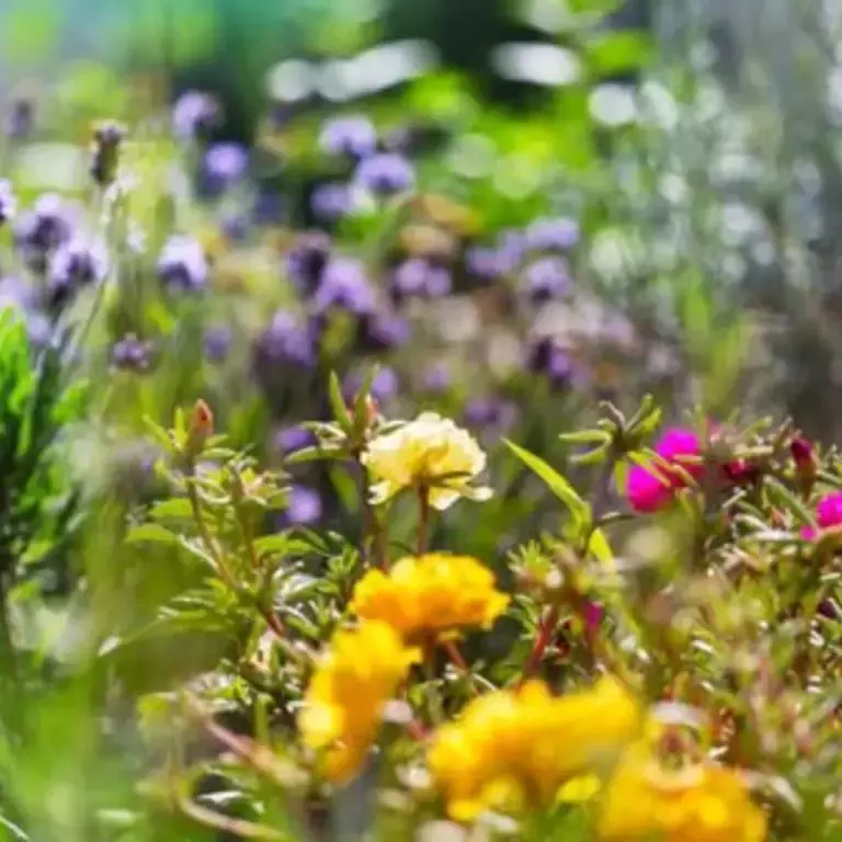 Top 10 over bivenlige blomster til din have