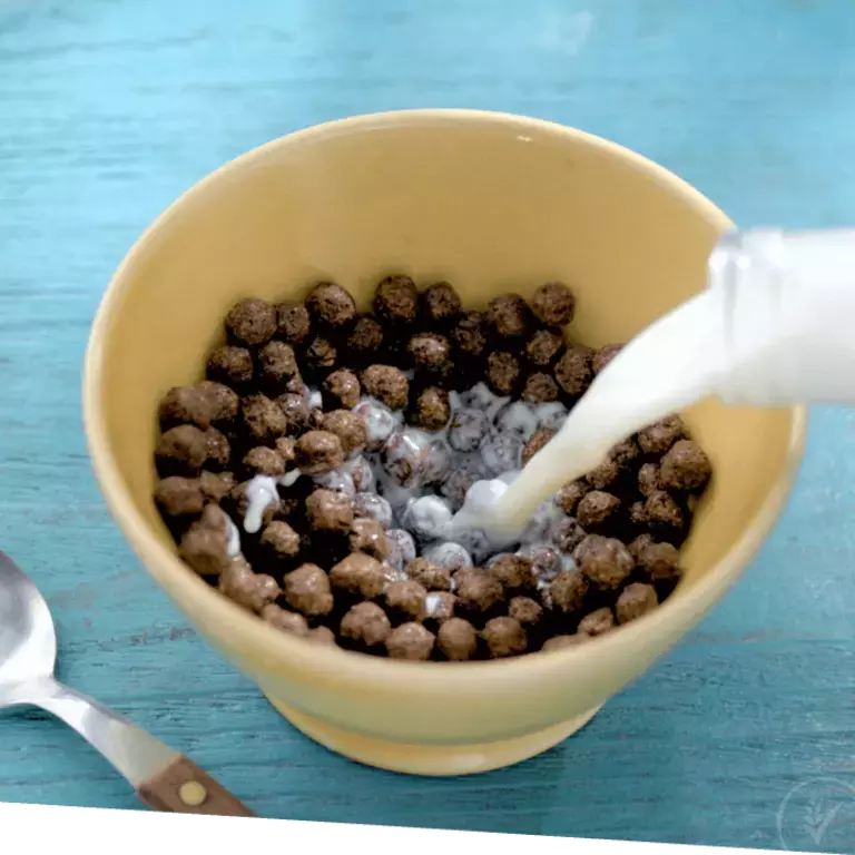CEREAL Y LECHE: LA PAREJA PERFECTA