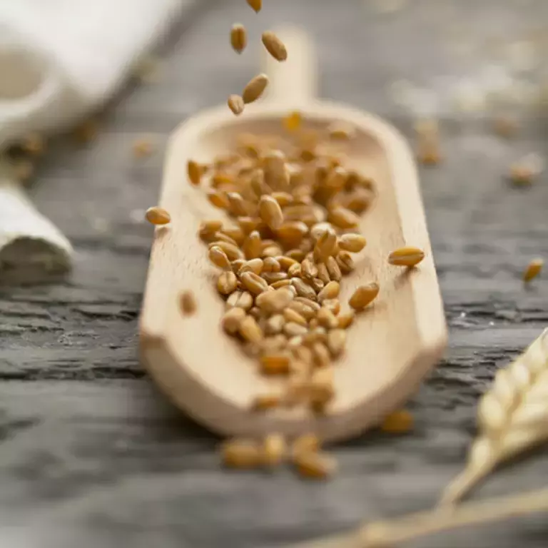 NUESTRAS PROMESAS - MEJORES ALIMENTOS