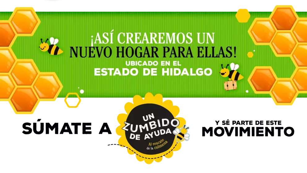 3-CH-Zumbido-Nota1DA.png (1).png