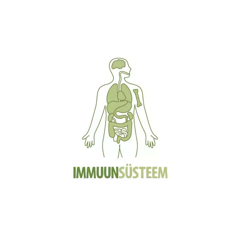 Immune system