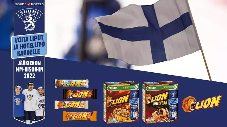Lion banner