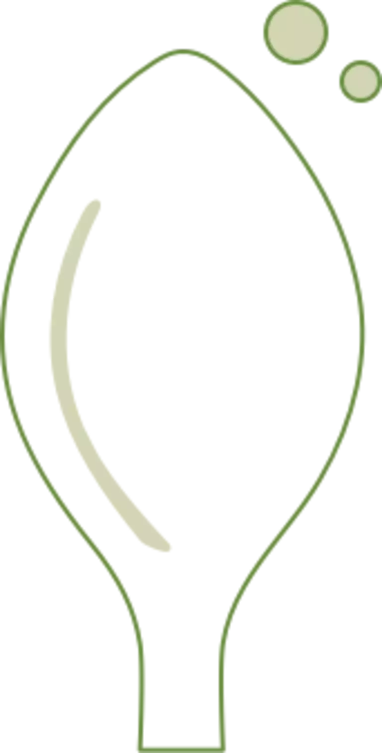 spoon