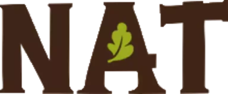 Objet dynamique vectoriel copy.png