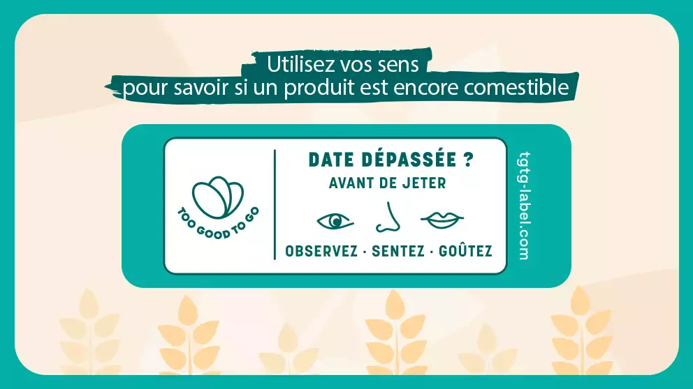 banniere chocapic togotogo Encart