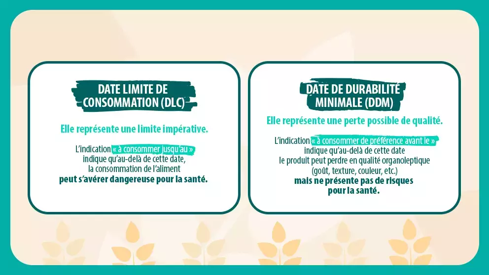 banniere chocapic togotogo