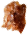 Fragment