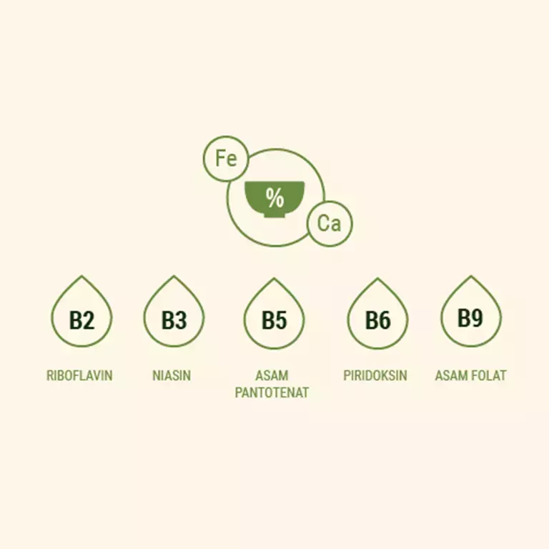 Fortified cereals for immunity boosting