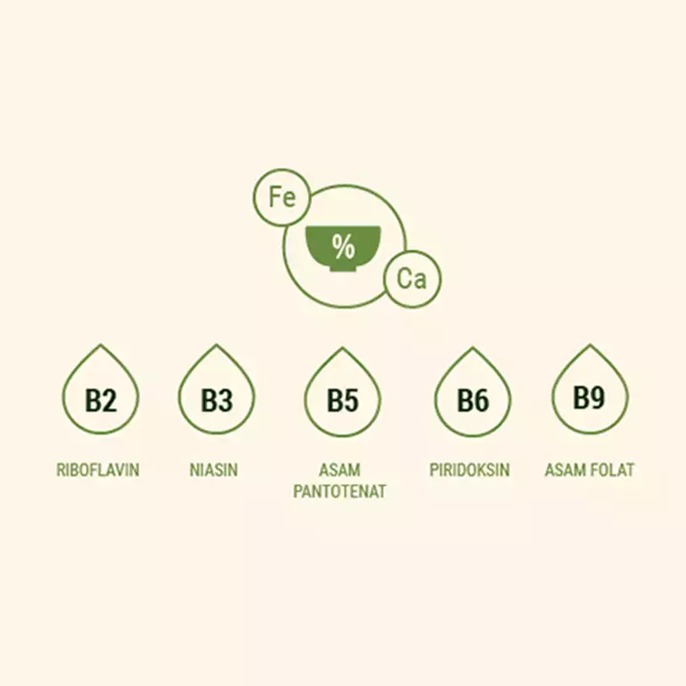 Fortified cereals for immunity boosting