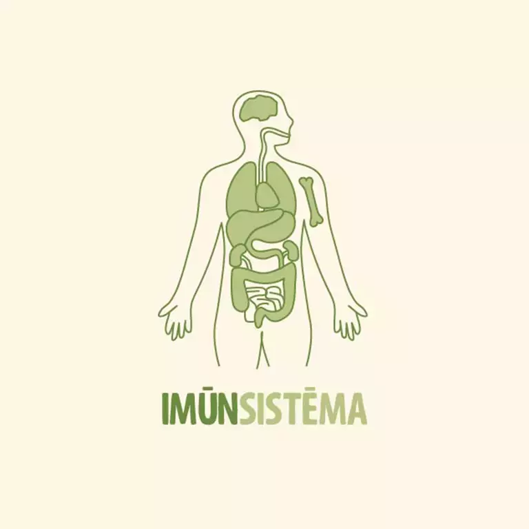immune_system