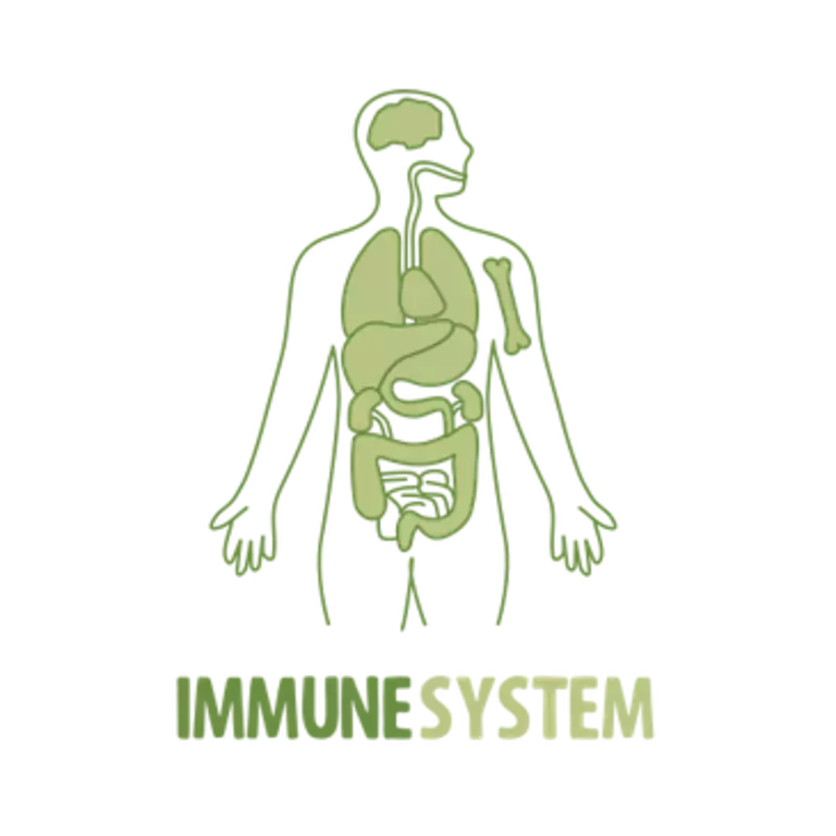 Immune System