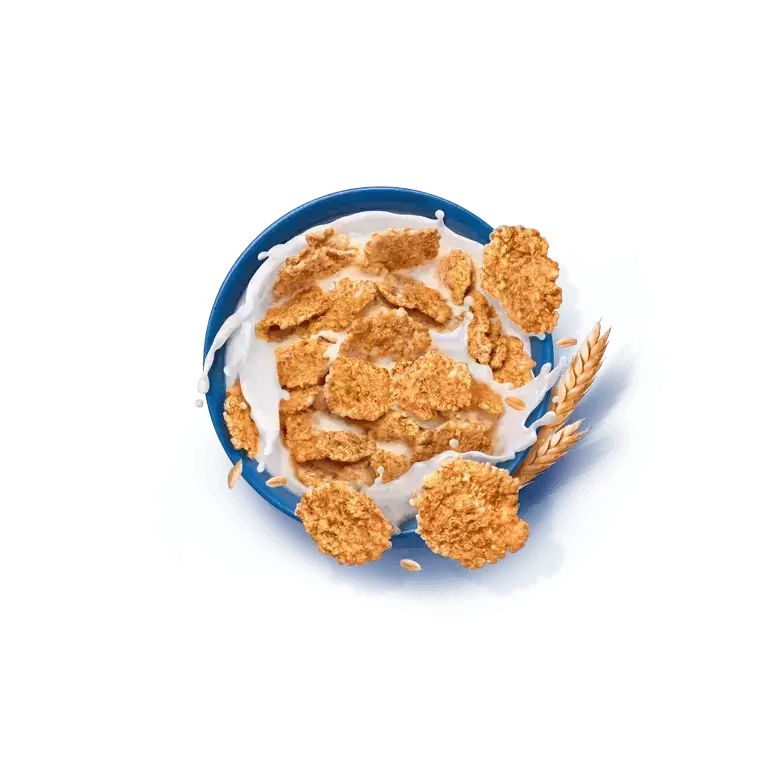 fitness_original_bowl image
