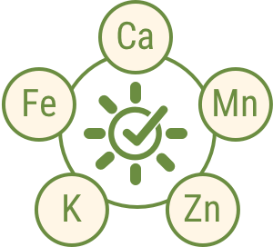 VITAMINS & MINERALS.png VITAMINS & MINERALS