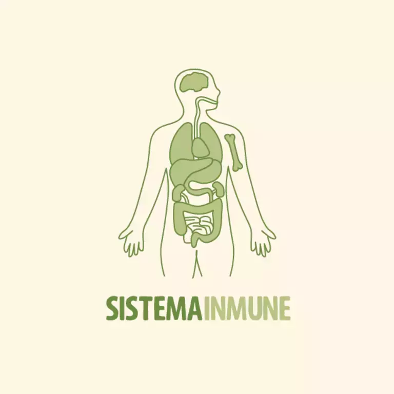 Y entones, ¿qué es tu sistema inmunológico y qué hace?