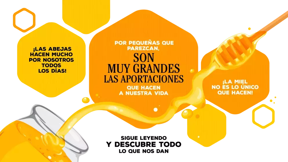 5-CH-Zumbido-Nota2B.png.png