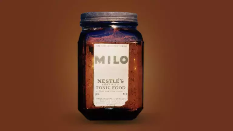milo_component_visualfromtw.png