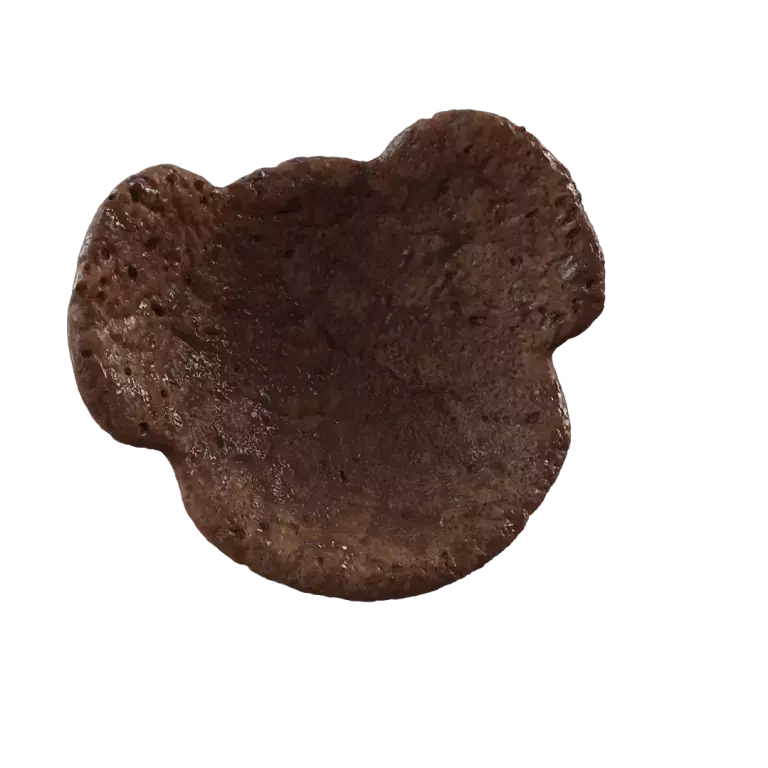 Strong in Chocolate and Whole Grain