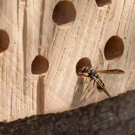 eu_nbc_bee-hotels_banner