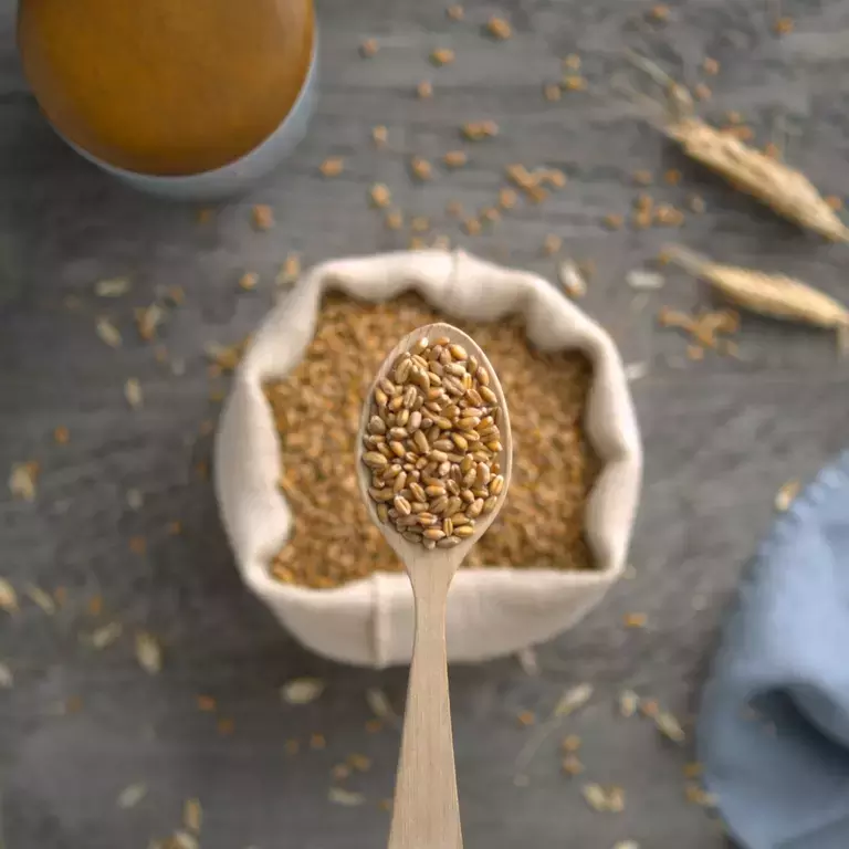 Vår fornyelsesreise mot en bedre frokost