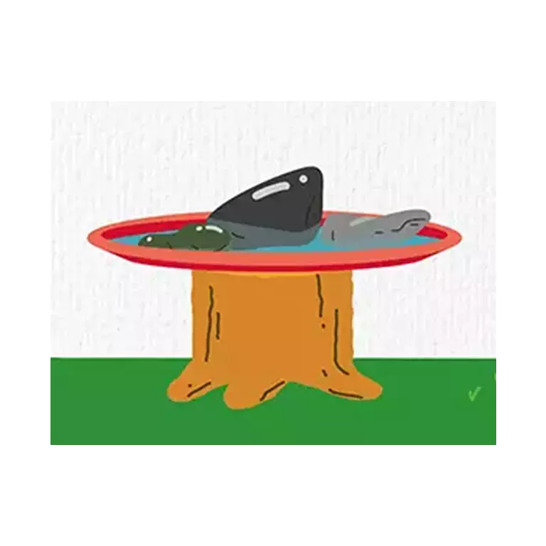 Poidełko dla pszczółek