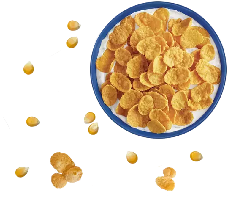 NAT_Cereals_Website_Delice Flakes_Ingredients.png.png
