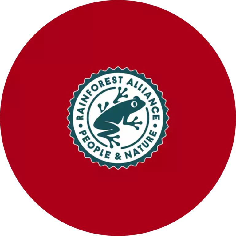 Rainforest logo