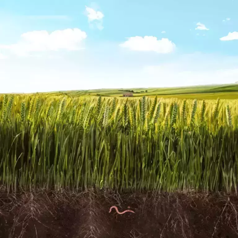 main banner Rolnictwo Regeneratywne