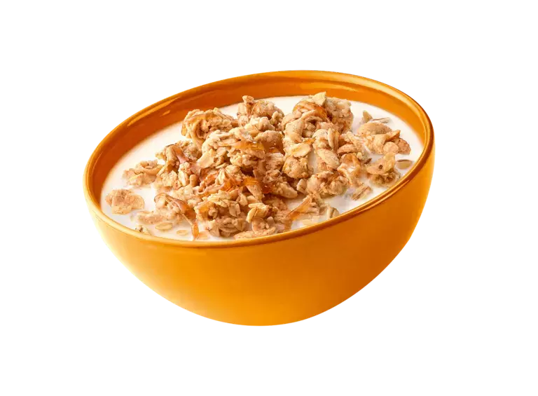 FITNESS_GRANOLA