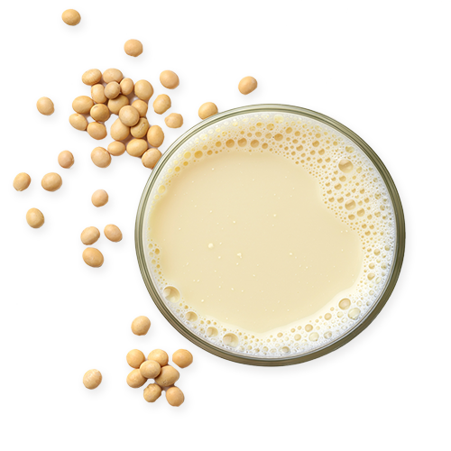 SOY MILK.png SOY MILK